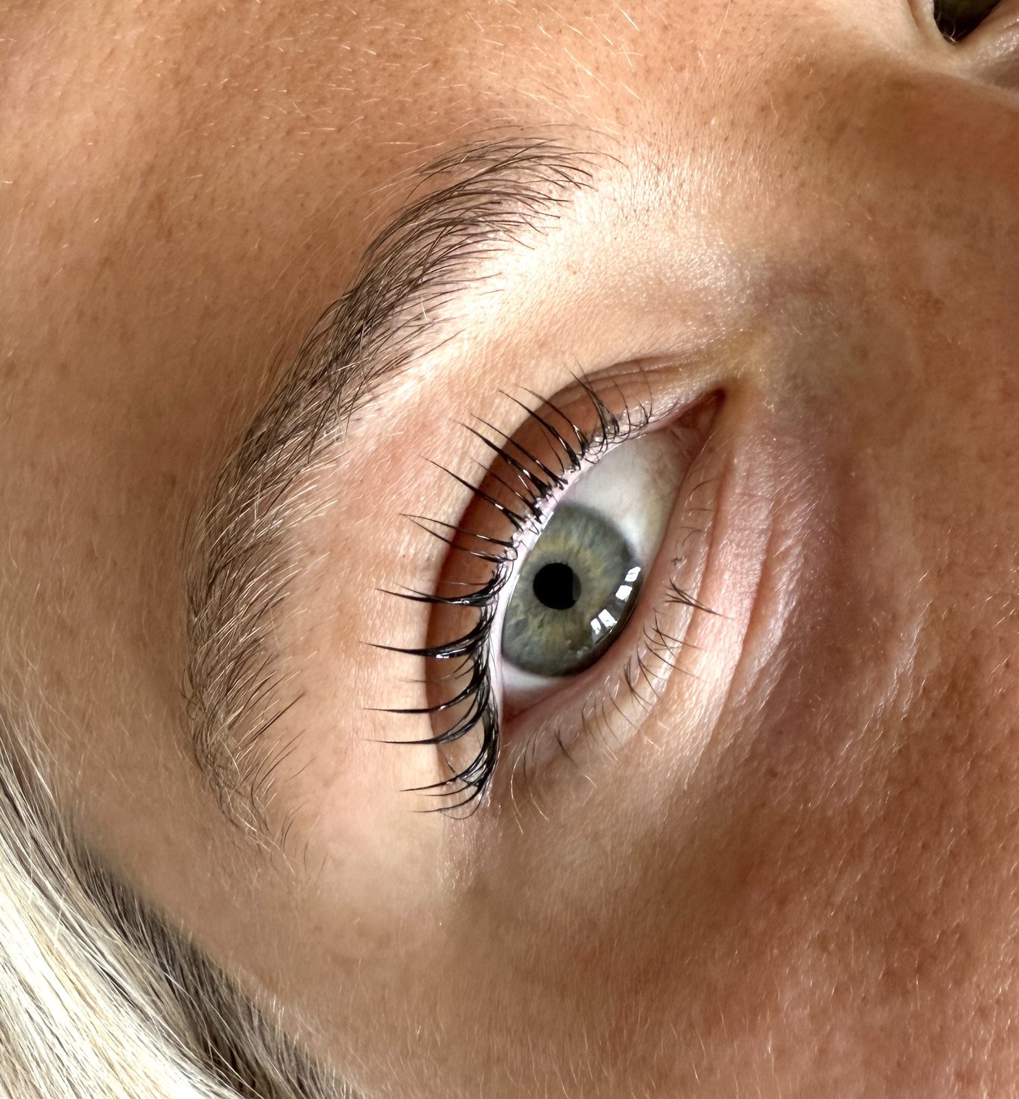 Lash lift and tint on a green eye