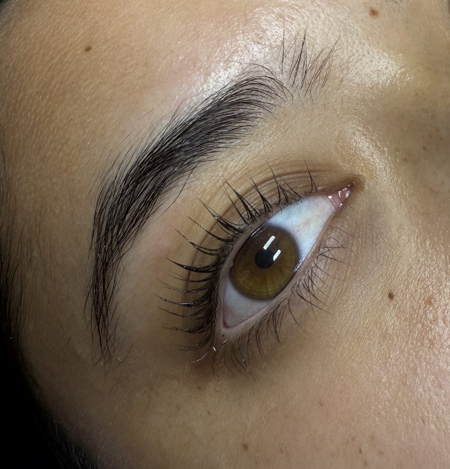 Lash lift and tint on a brown eye
